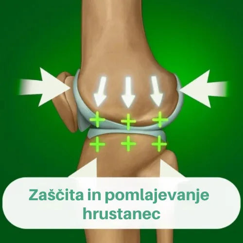 OrthoKnee™ – Dolgotrajno olajšanje artritisa in bolečin v sklepih